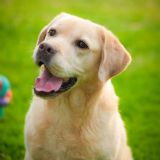 �ջؼ�66��ͷ��